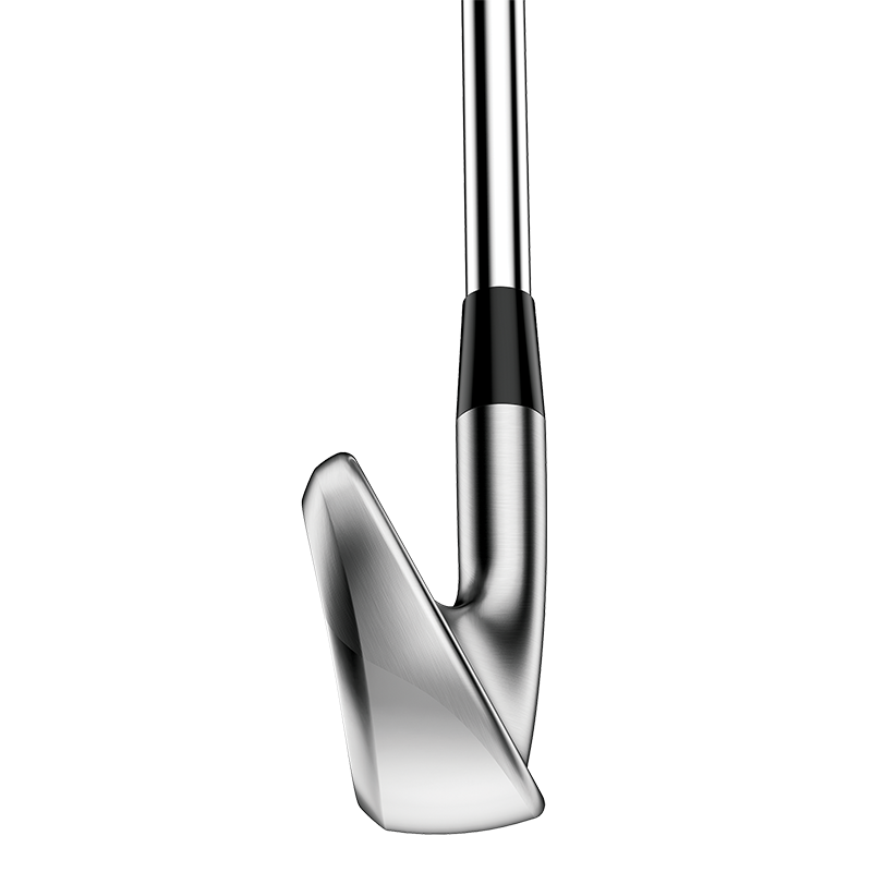 Titleist - Série T300 2021 - Graphite - vue de la pointe